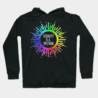 Sexuality Is A Spectrum Hoodie